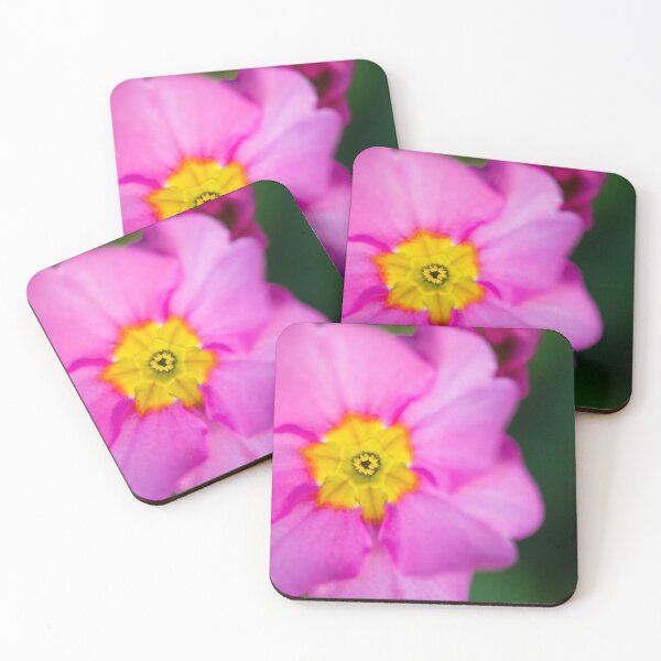 Item preview, Polyanthus designed and sold by Allport Photography.