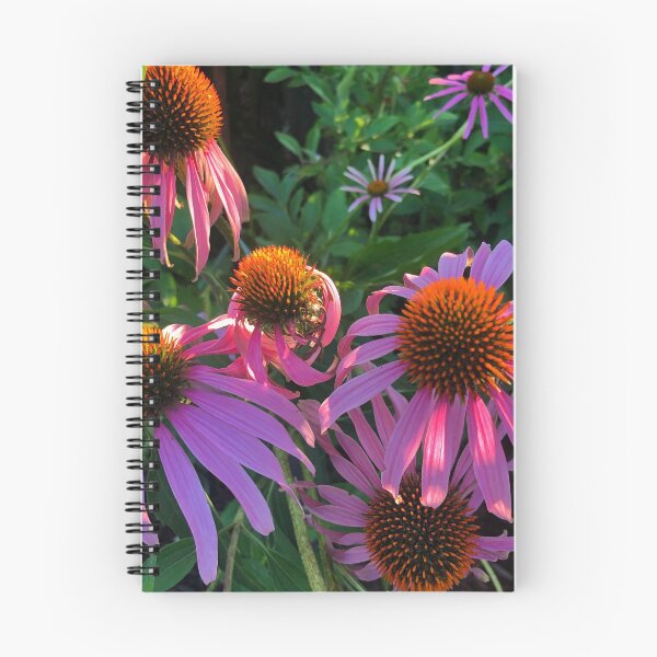Item preview, Purple Daisy At Sunset designed and sold by tammyschroder.