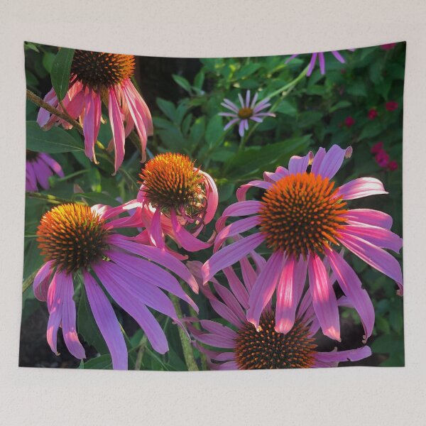 Item preview, Purple Daisy At Sunset designed and sold by tammyschroder.