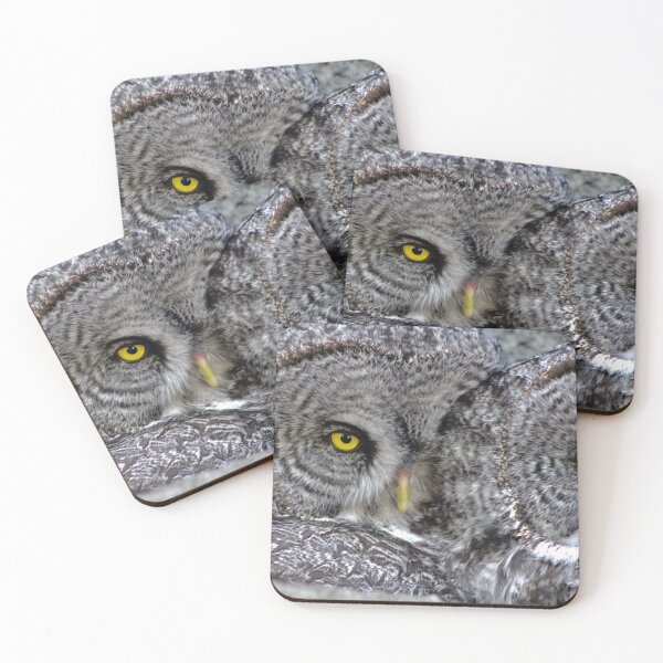 Item preview, Cozy Great Grey Owls designed and sold by TrashPandaCreative.