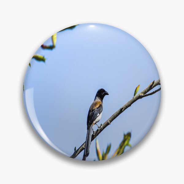 Item preview, Little birdie on the branch designed and sold by Mariolangstieh.