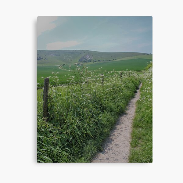 The path to the hill Canvas Print