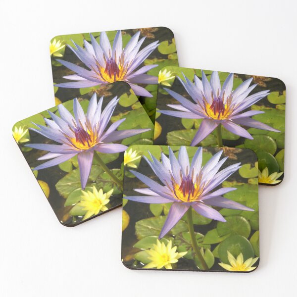 Item preview, Blue & Yellow Water Lily of Warburton designed and sold by Natural Healer.