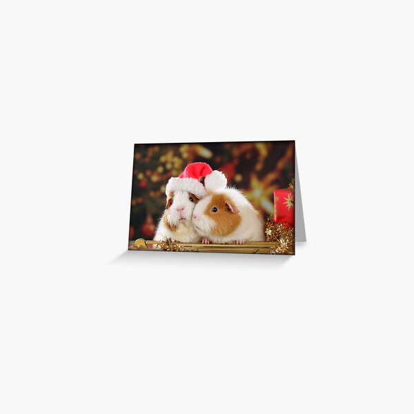 Item preview,  Two guinea pigs wish Merry Christmas designed and sold by Toffy2222.