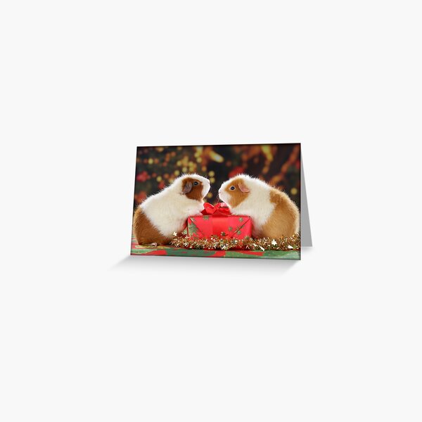 Item preview, Two guinea pigs wish a Merry Christmas designed and sold by Toffy2222.