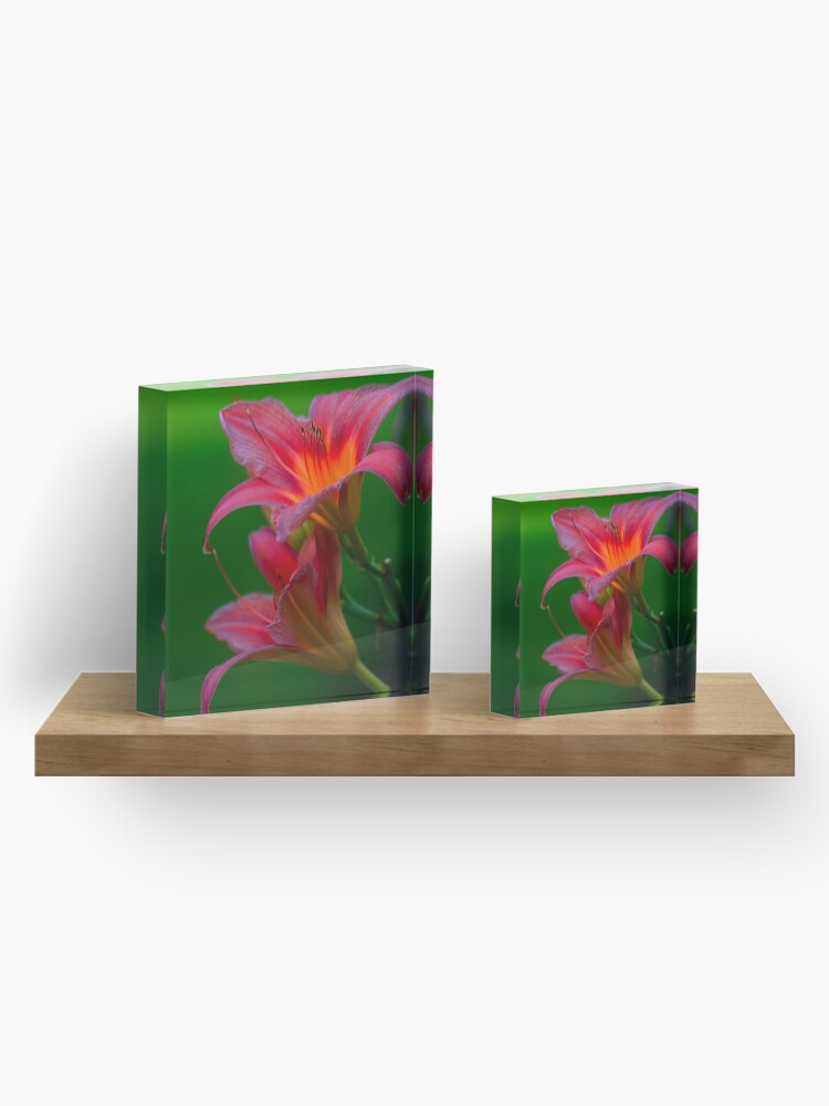 Alternate view of The beloved Lily by Yannis Lobaina Acrylic Block