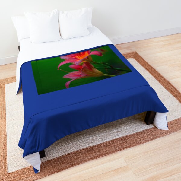The beloved Lily by Yannis Lobaina Comforter