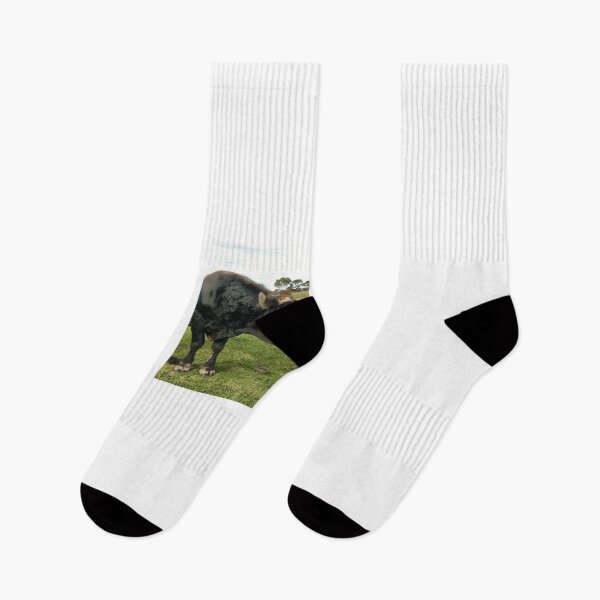 Item preview, Cows - Laddie & Peace designed and sold by Elizabeth Gregory.