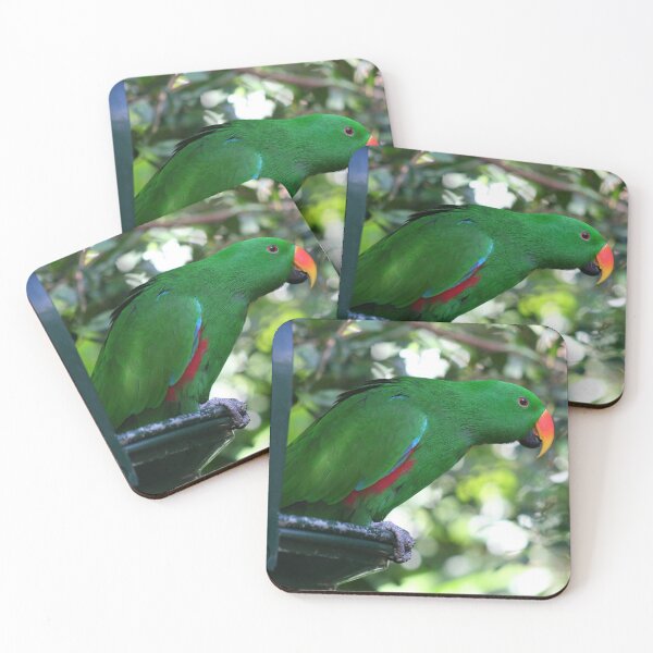 Item preview, Male Eclectus Parrot designed and sold by Marilyn Harris.