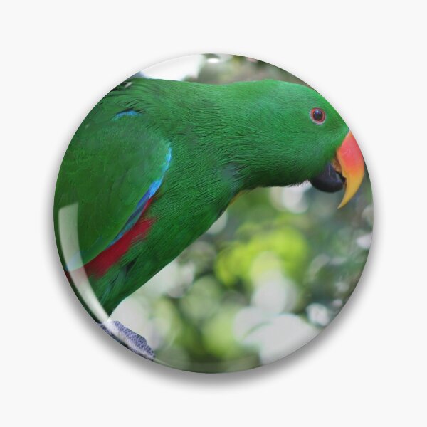 Item preview, Male Eclectus Parrot designed and sold by Marilyn Harris.