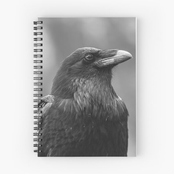 Item preview, raven designed and sold by jvnimages.