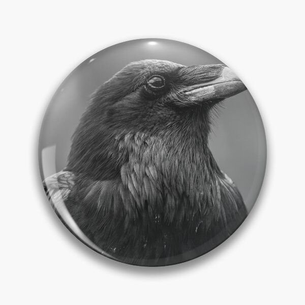 Item preview, raven designed and sold by jvnimages.