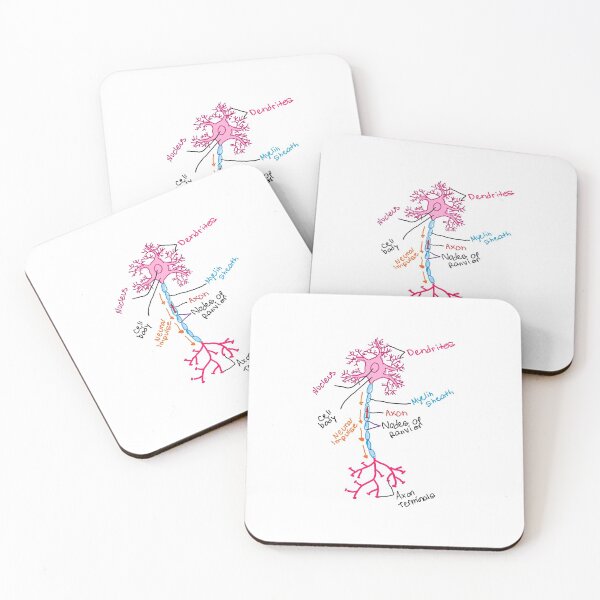 Item preview, Neuron designed and sold by NeuroNotes.