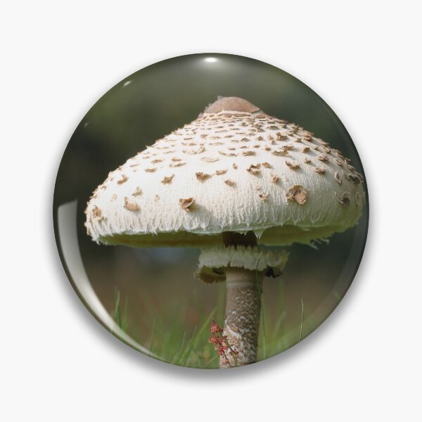 Item preview, Parasol designed and sold by cuprum.