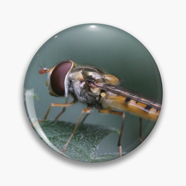 Item preview, The cutest little hoverfly designed and sold by cuprum.
