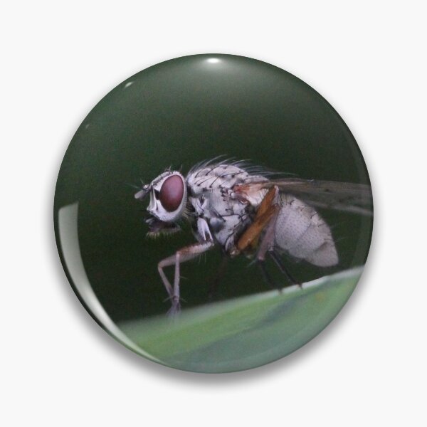 Item preview, Not a Pretty Guy, this White Fly designed and sold by cuprum.