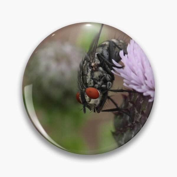 Item preview, Flesh Fly designed and sold by cuprum.