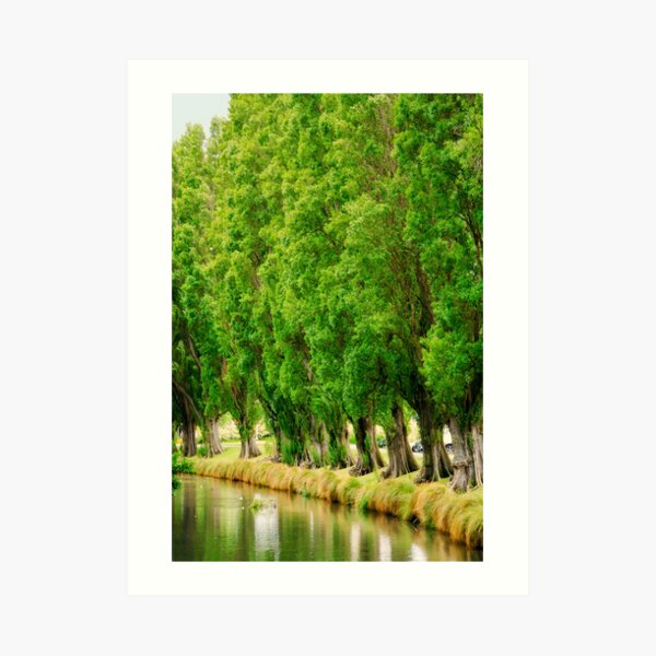 Standing by the Avon - Christchurch, New Zealand Art Print