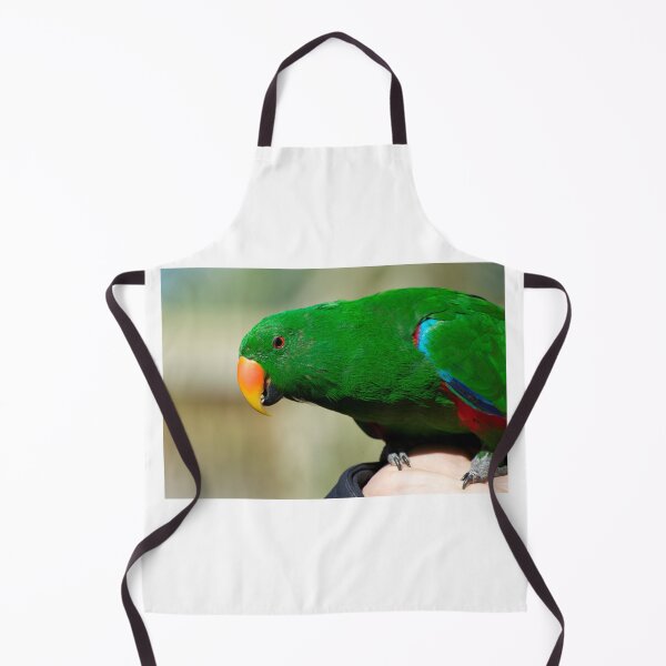 Item preview, Eclectus Parrot - male designed and sold by GP1746.