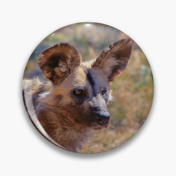 Item preview, South Africa Wild Dog Standing designed and sold by cmilliganphoto.