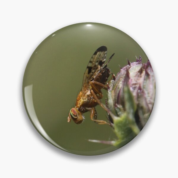 Item preview, The Cutest Insect I've ever seen designed and sold by cuprum.
