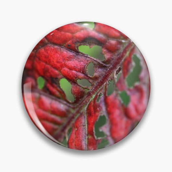 Item preview, Vegetable Leather designed and sold by cuprum.