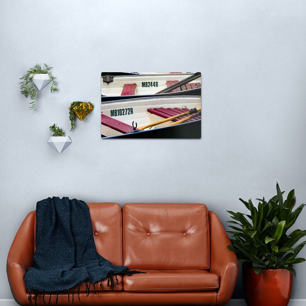 Bobbing on the water - Yarra River, Melbourne Metal Print