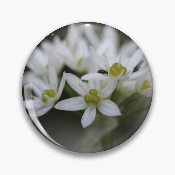 Item preview, Wild garlic designed and sold by cuprum.