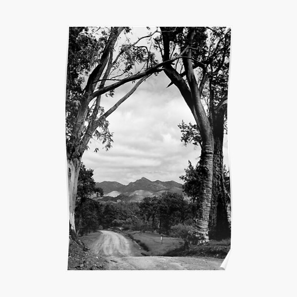 Framing the Flinders Ranges NP - South Australia Poster