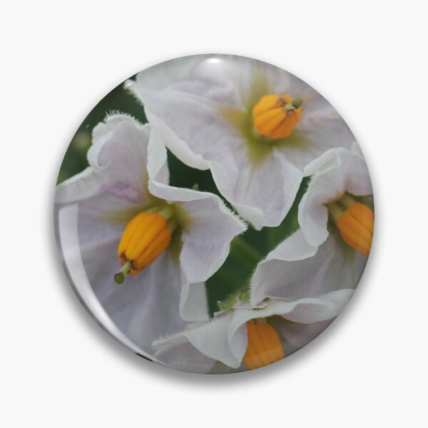 Item preview, The unexpected beauty of the potato flower designed and sold by cuprum.