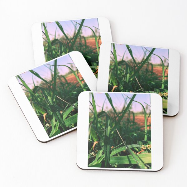 Item preview, Water Droplets on Green Grass designed and sold by Vikas Sawant.