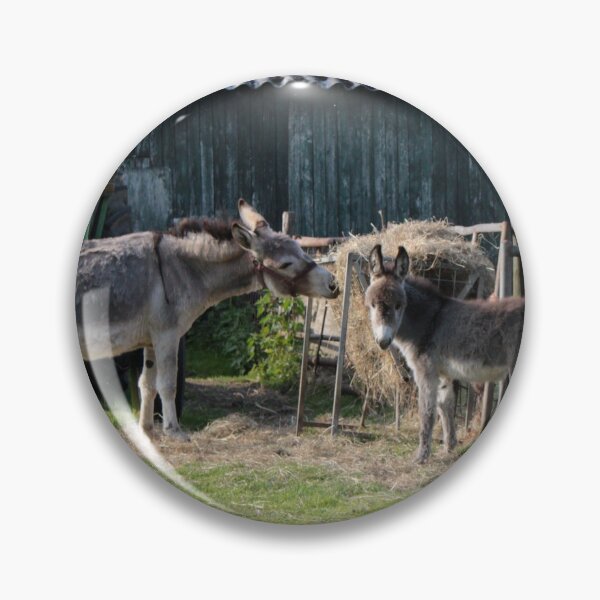 Item preview, Donkey family designed and sold by cuprum.