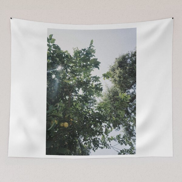 Item preview, Nature Lemon Tree photography designed and sold by Aileenl07.