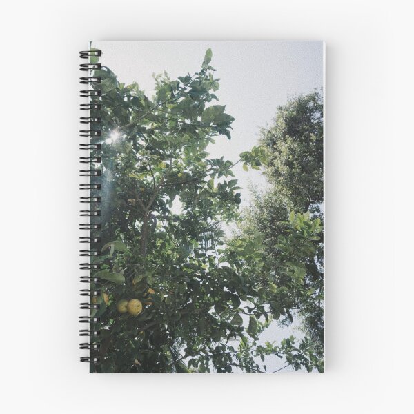 Item preview, Nature Lemon Tree photography designed and sold by Aileenl07.