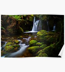 One of the Bastion Cascades, Meander Forest Reserve, northern Tasmania Poster