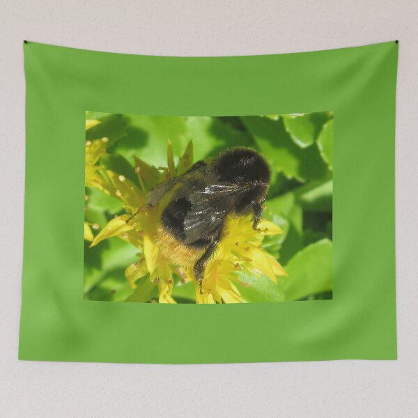 Item preview, Yellow Tail Carder Bee designed and sold by lezvee.