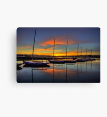 Bembridge Redwings Canvas Print