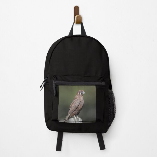 Item preview, Brown Falcon designed and sold by CathsImages.