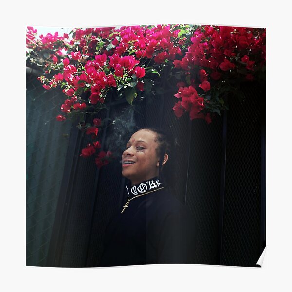 À côté du visage Poster