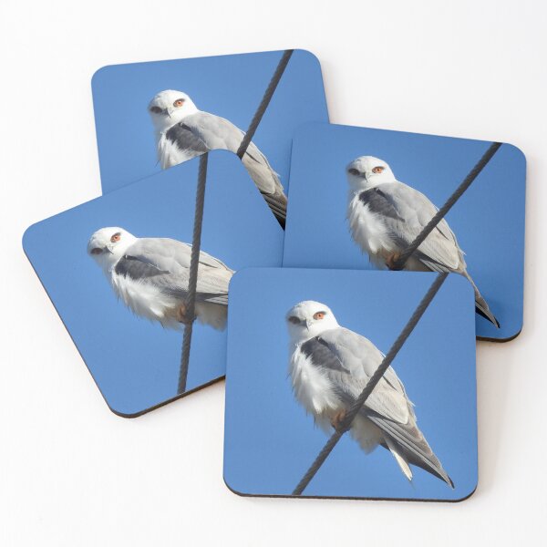 Item preview, Black Shoulder Kite designed and sold by CathsImages.
