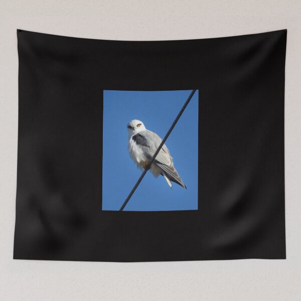 Item preview, Black Shoulder Kite designed and sold by CathsImages.