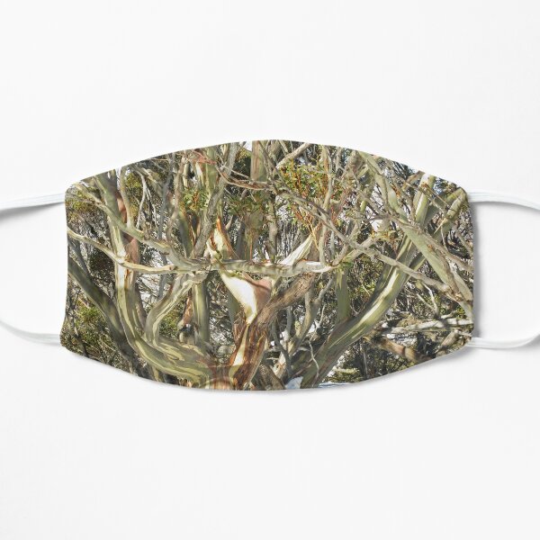 Colours of an entwined Snow Gum Flat Mask