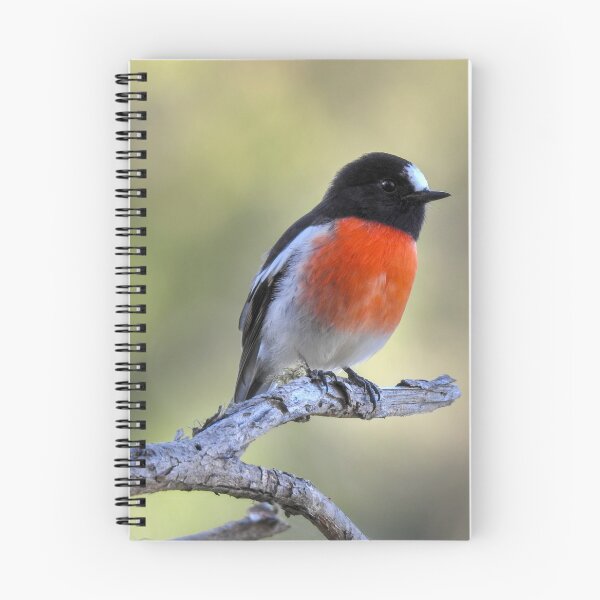 Item preview, Scarlet Robin designed and sold by CathsImages.