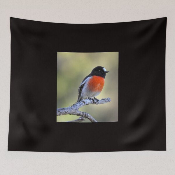 Item preview, Scarlet Robin designed and sold by CathsImages.