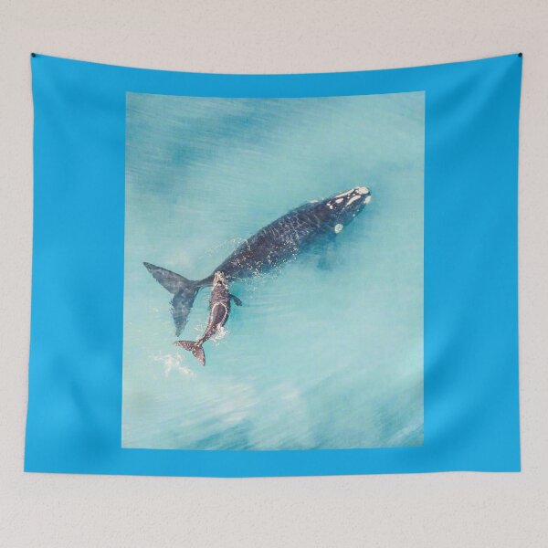 Item preview, Whales #allwantyou.net# designed and sold by Magdalineshop.