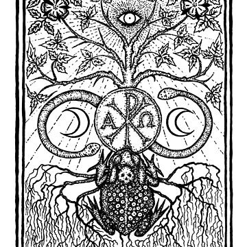 Artwork thumbnail, The Black Toad (frontispiece) by Gemma Gary by TroyBooks