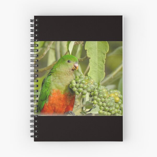 Item preview, King Parrot - Female designed and sold by CathsImages.