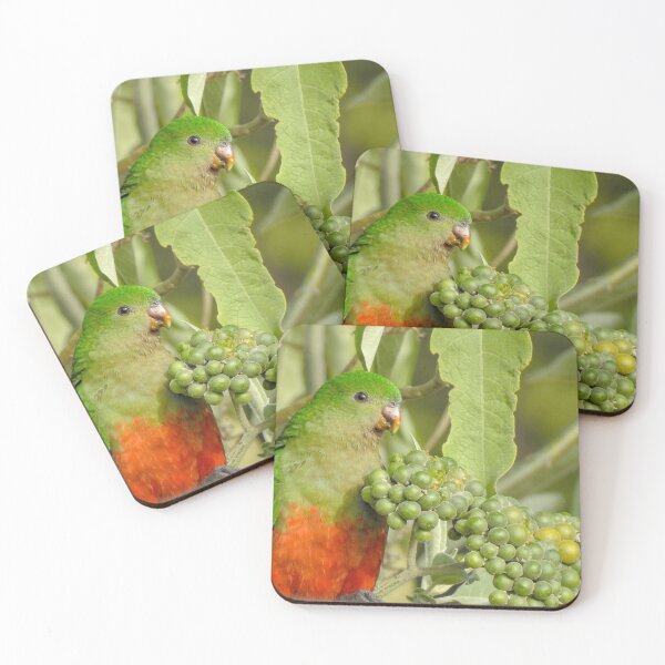 Item preview, King Parrot - Female designed and sold by CathsImages.