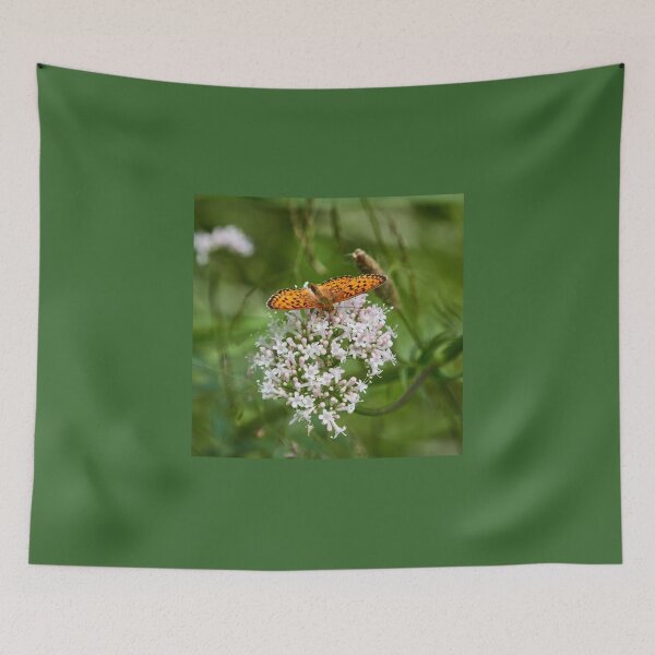 Item preview, High brown fritillary designed and sold by Jouko Lehto Photography.