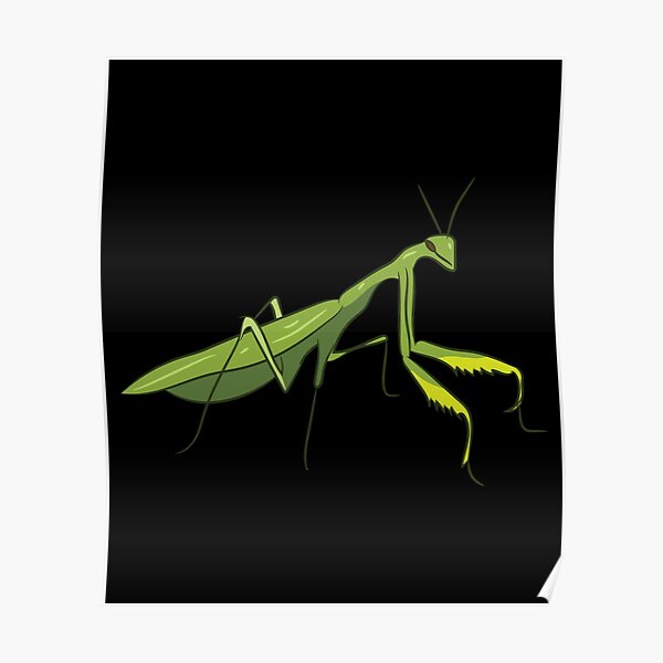 Cute Praying Mantis Love Funny Praying Mantis Poster